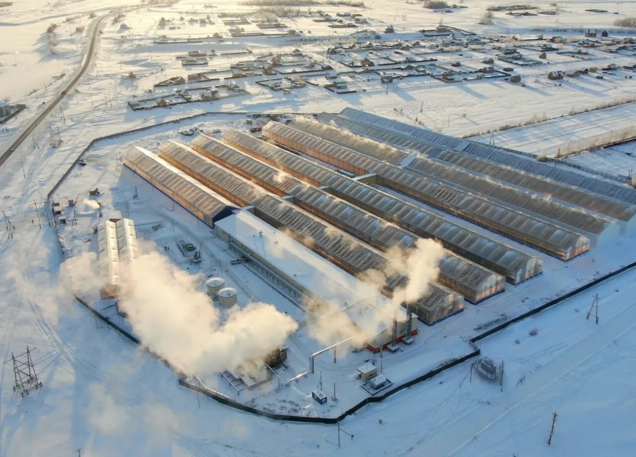 Шесть компаний ТОР &quotЯкутия&quot начали уплату налогов в полном объеме пресс-служба главы и правительства РС (Я)