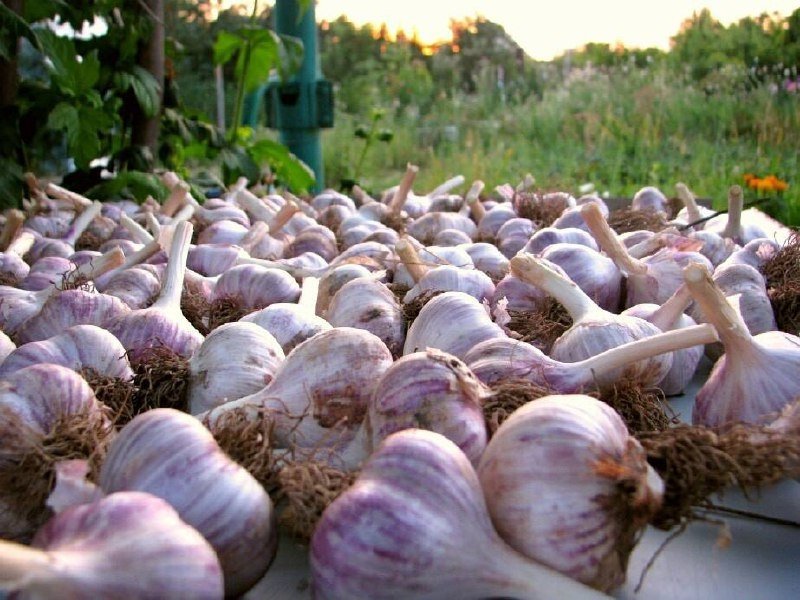 Тематическое фото Автор канала