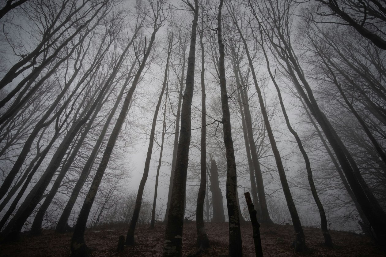 Тематическое фото unsplash.com