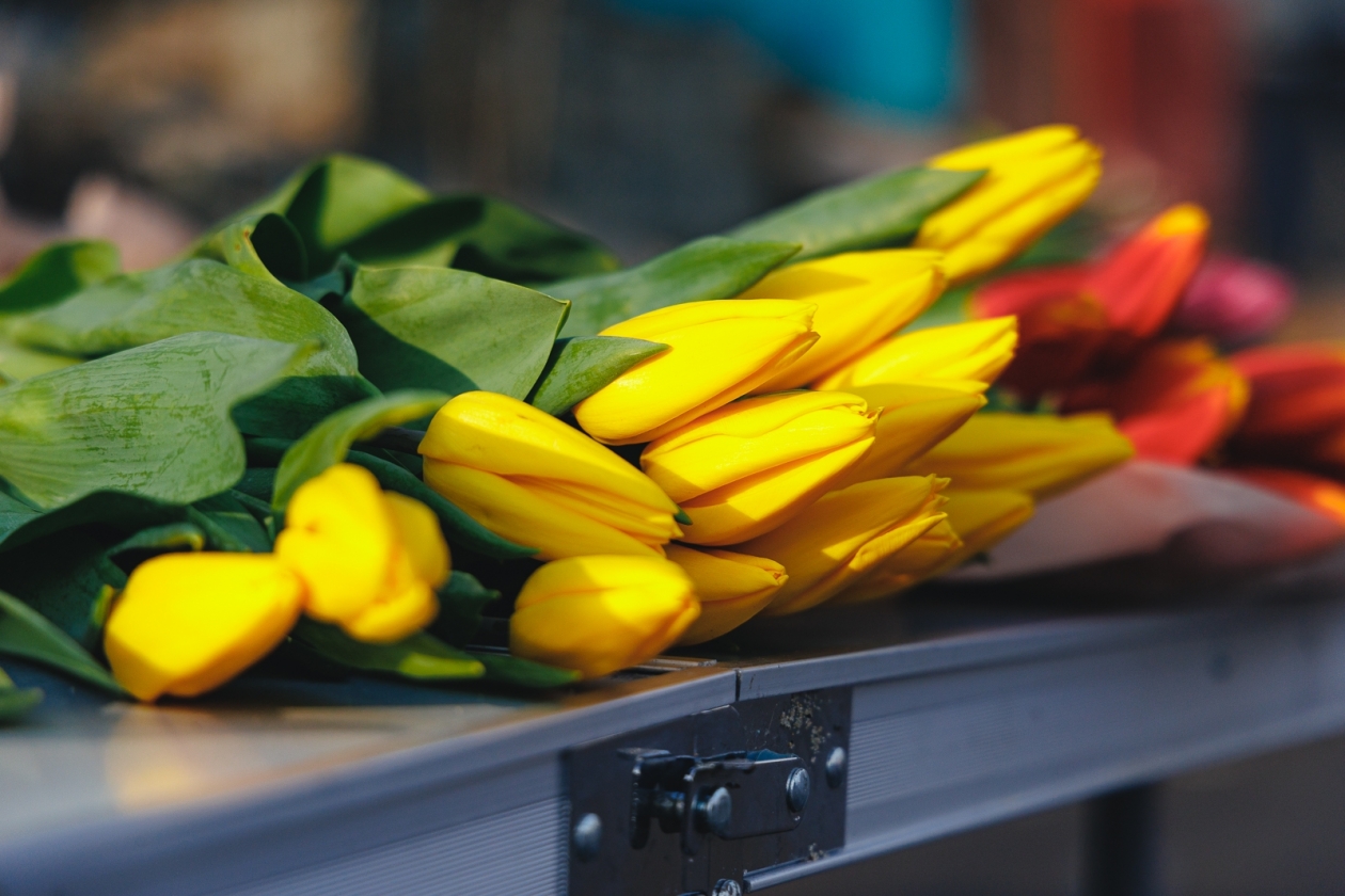 цветы, 8 марта, международный женский день, тюльпаны, продажа цветов Евгений Кулешов, ИА PrimaMedia