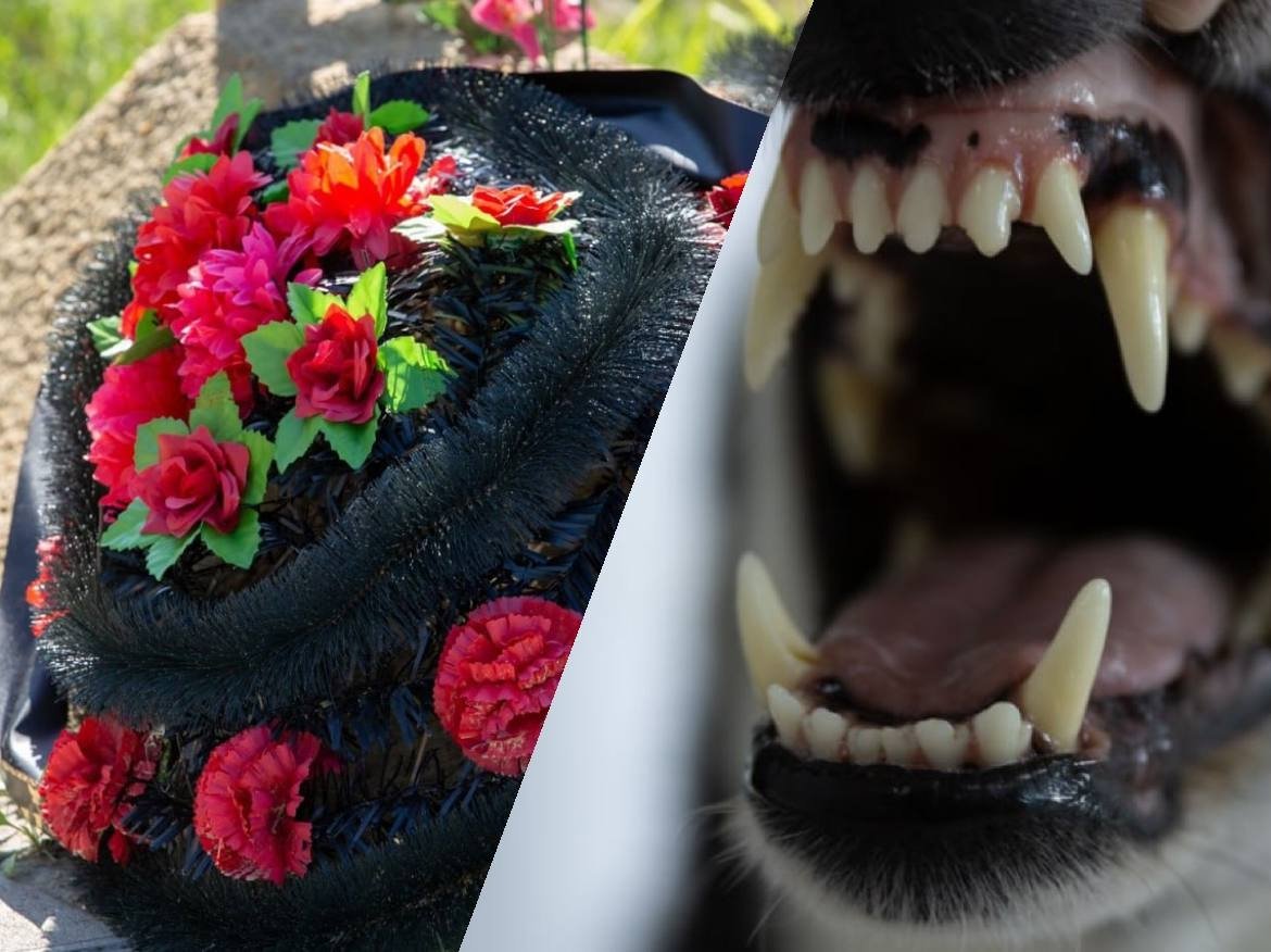 Год без дочери: что изменилось после смертельного нападения собак на 9-летнюю девочку ИА Stavropol.Media