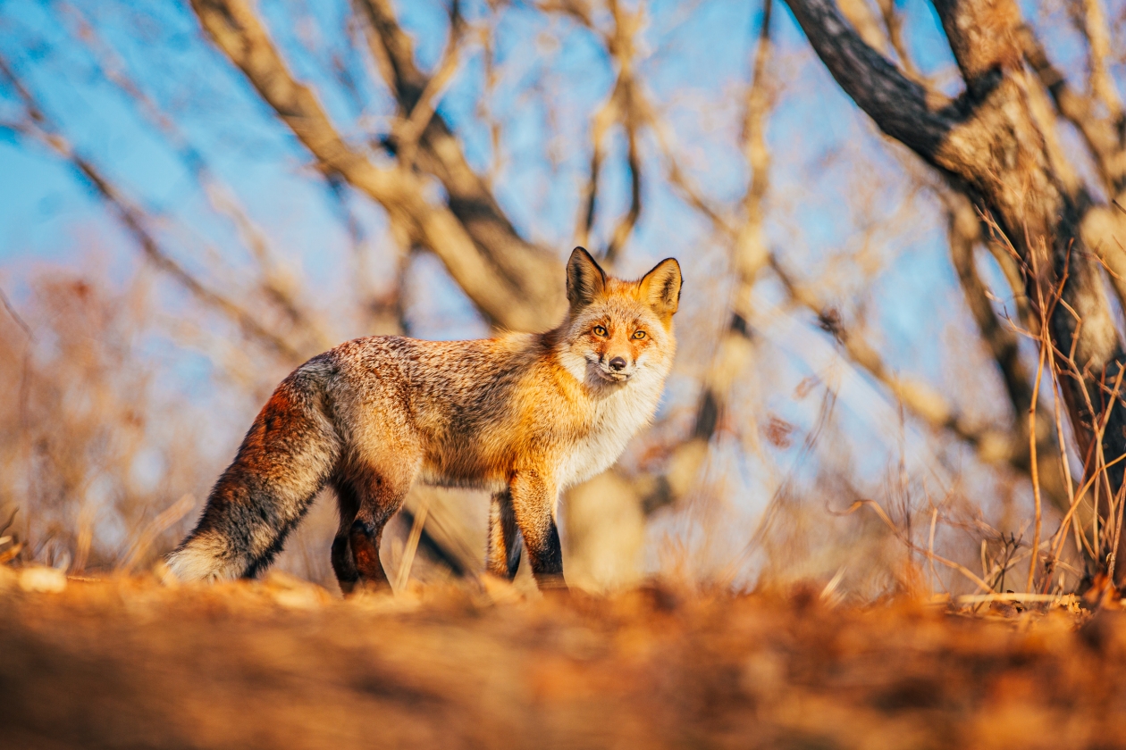 Кубань ждут последние зимние испытания ненастной погодой Мария Бородина