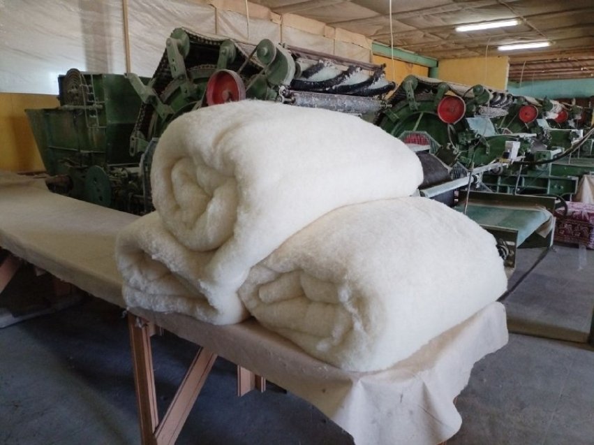 Шерсть пресс-службы министерства сельского хозяйства Забайкалья