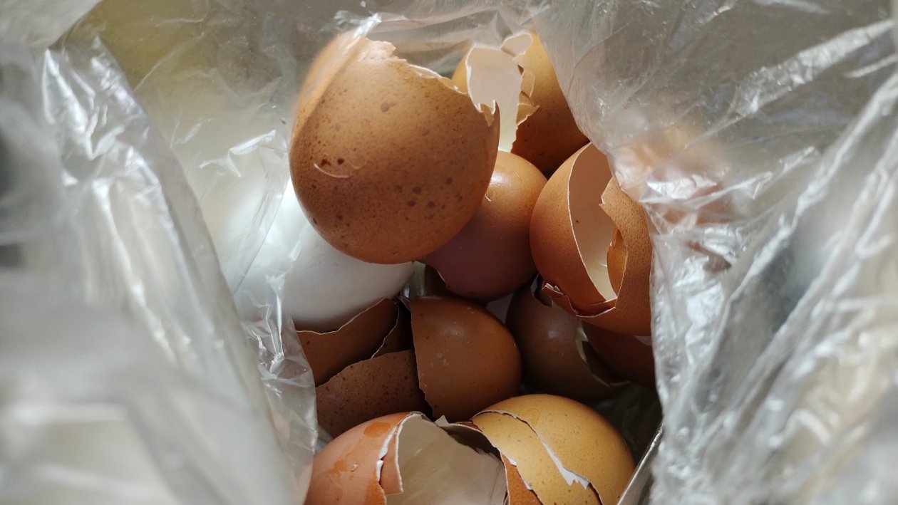 Скорлупа Автора