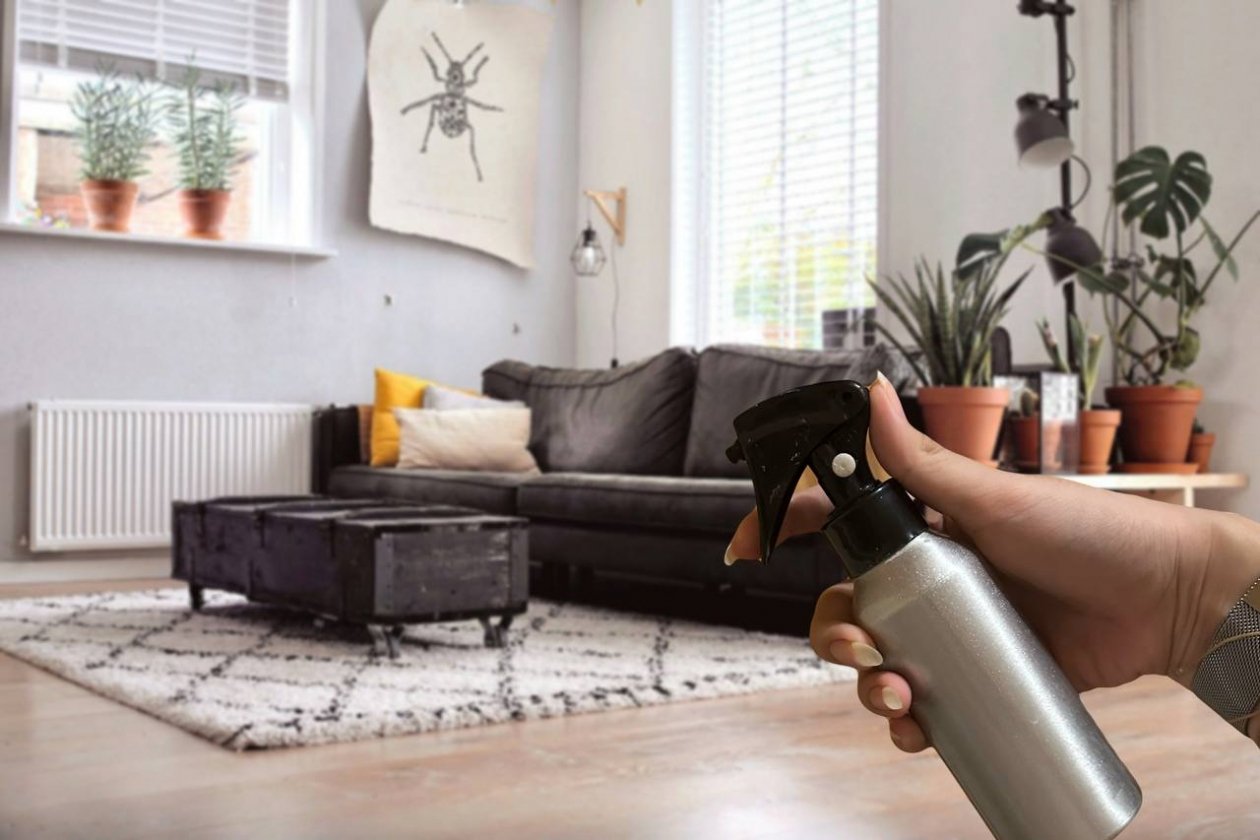 Дома больше не пахнет &quotстаростью&quot: этот способ выгоняет &quotзапашок&quot даже из старенькой гостинки Sven Brandsma / unsplash и ИА StolicaMedia