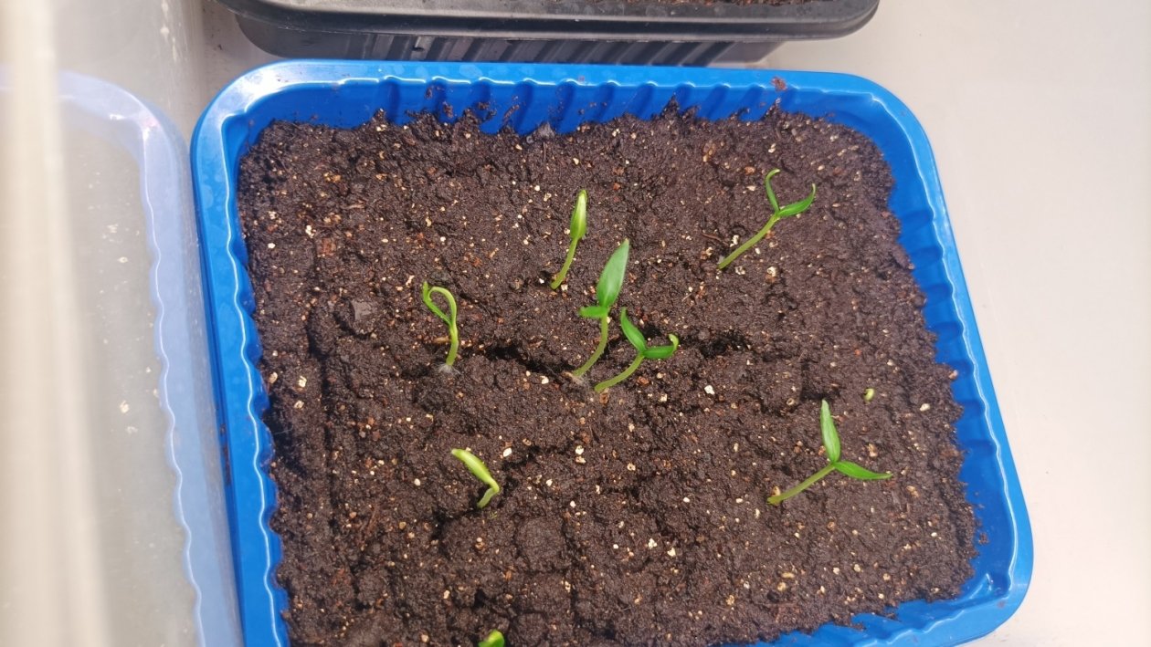 Тематическое фото pxhere.com