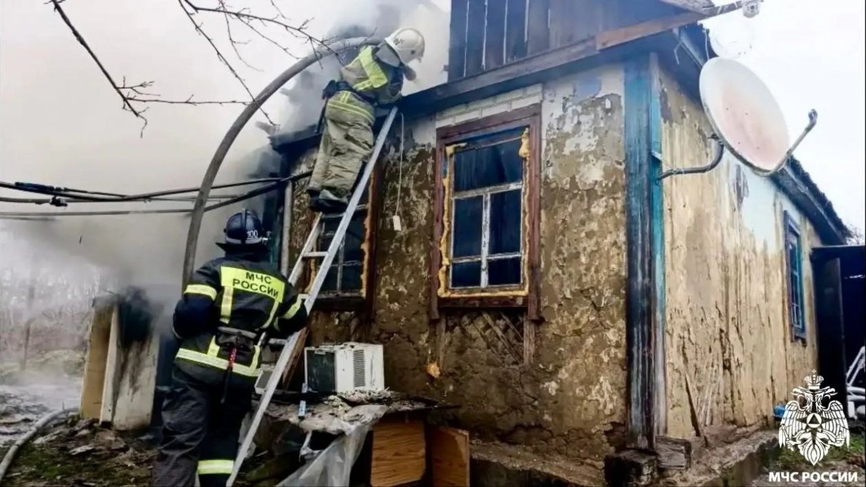 Пожарные спасли щенка в горящем доме в кубанской станице Пресс-служба ГУ МЧС России по Краснодарскому краю