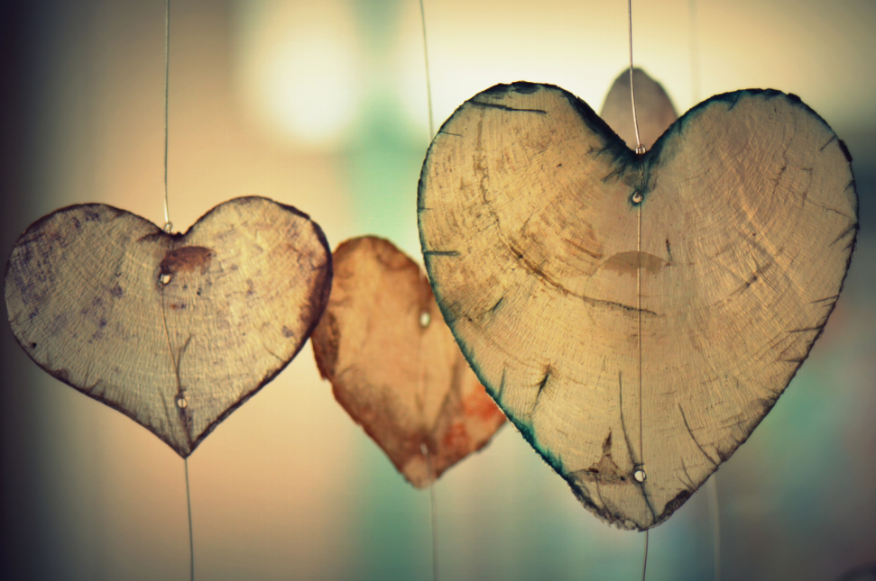 Тематическое фото pxhere.com