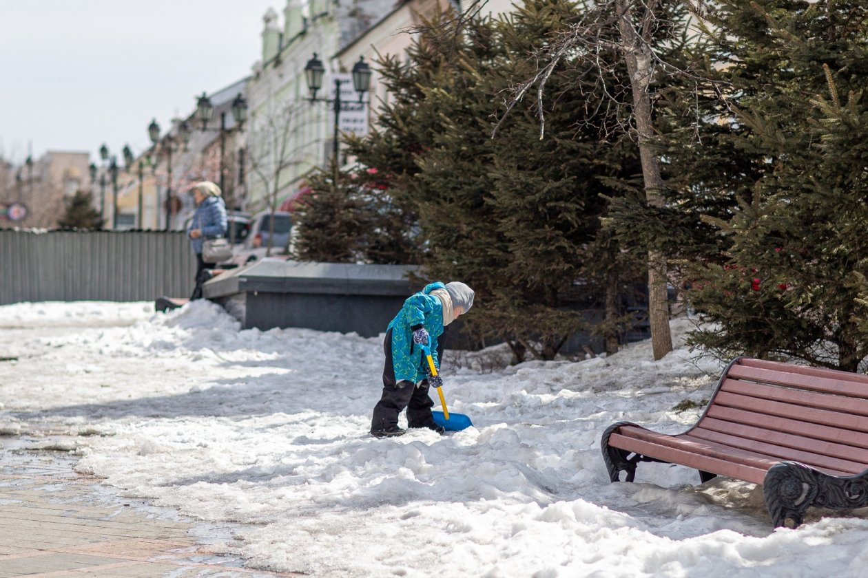 Пропавшую в Смоленске девятилетнюю девочку нашли живой Мария Смитюк, ИА PrimaMedia.ru