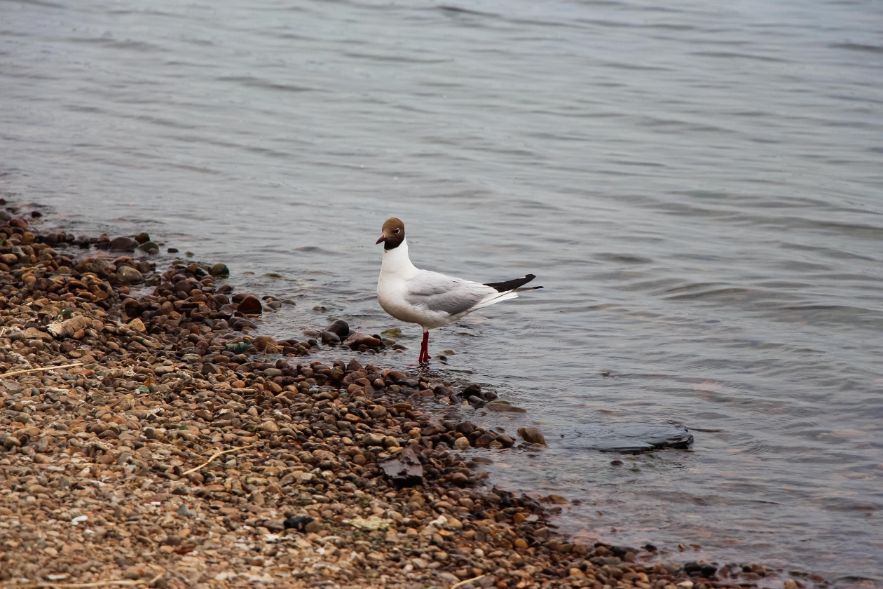 Тематическое фото ИА PrimaMedia