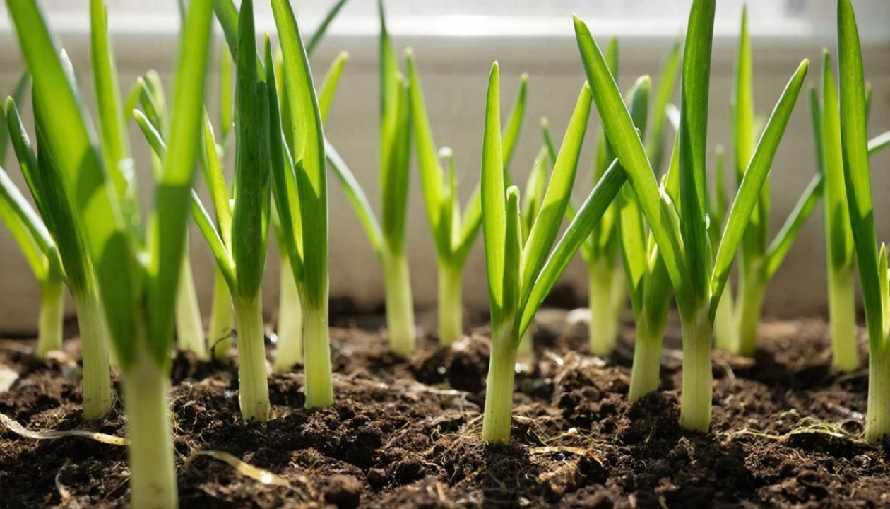 Изображение GigaChat (18+)