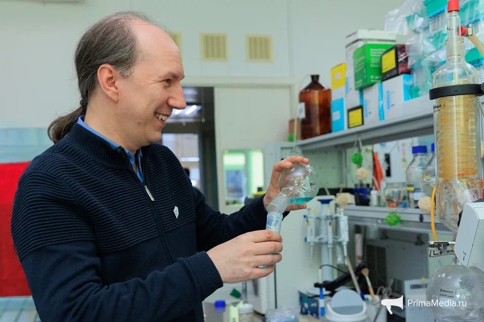 Яна Гайдук, ИА PrimaMedia