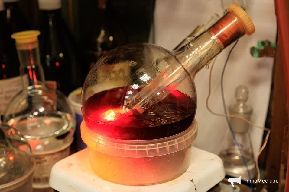 Яна Гайдук, ИА PrimaMedia