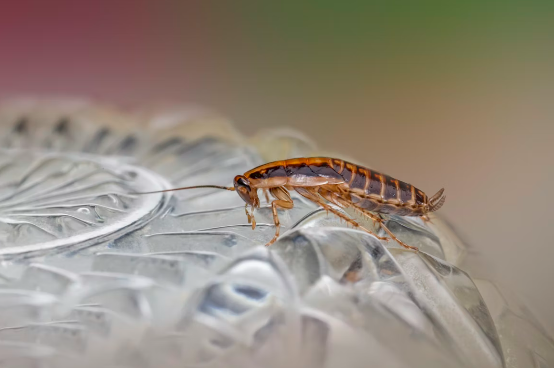 Тематическое фото unsplash (18+)