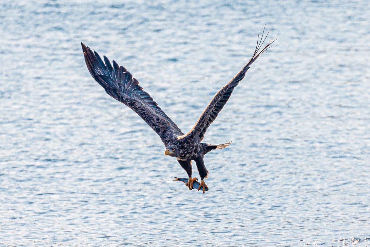 Тематическое фото ИА PrimaMedia