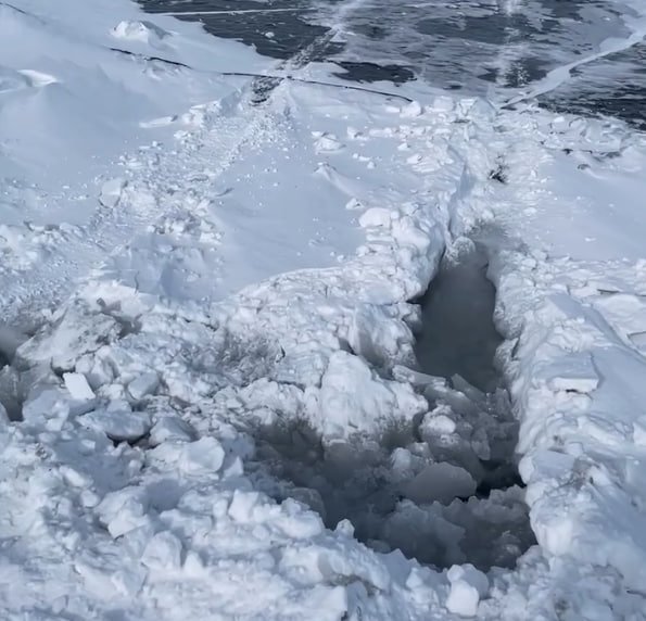 кадр из видео М. Ерёмина