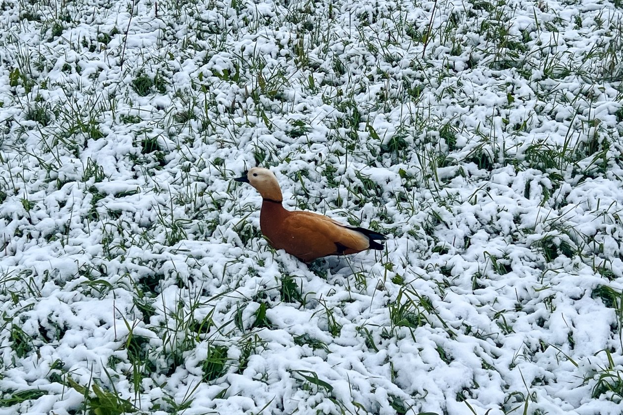 Тематическое фото ИА PrimaMedia