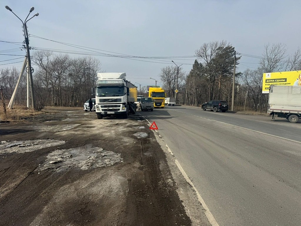 Участники аварии предоставлено Госавтоинспекцией Уссурийска