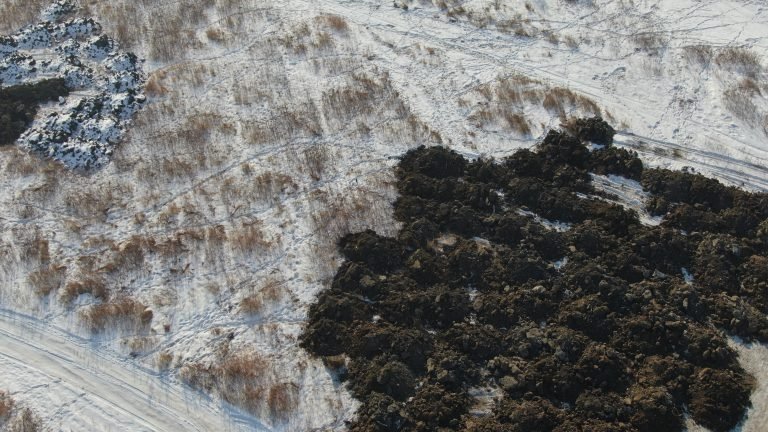 Результаты обследования земли пресс-служба Приморского межрегионального управления Россельхознадзора.