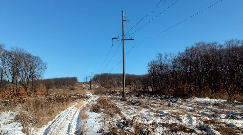 Чистка просеки пресс-служба ДРСК