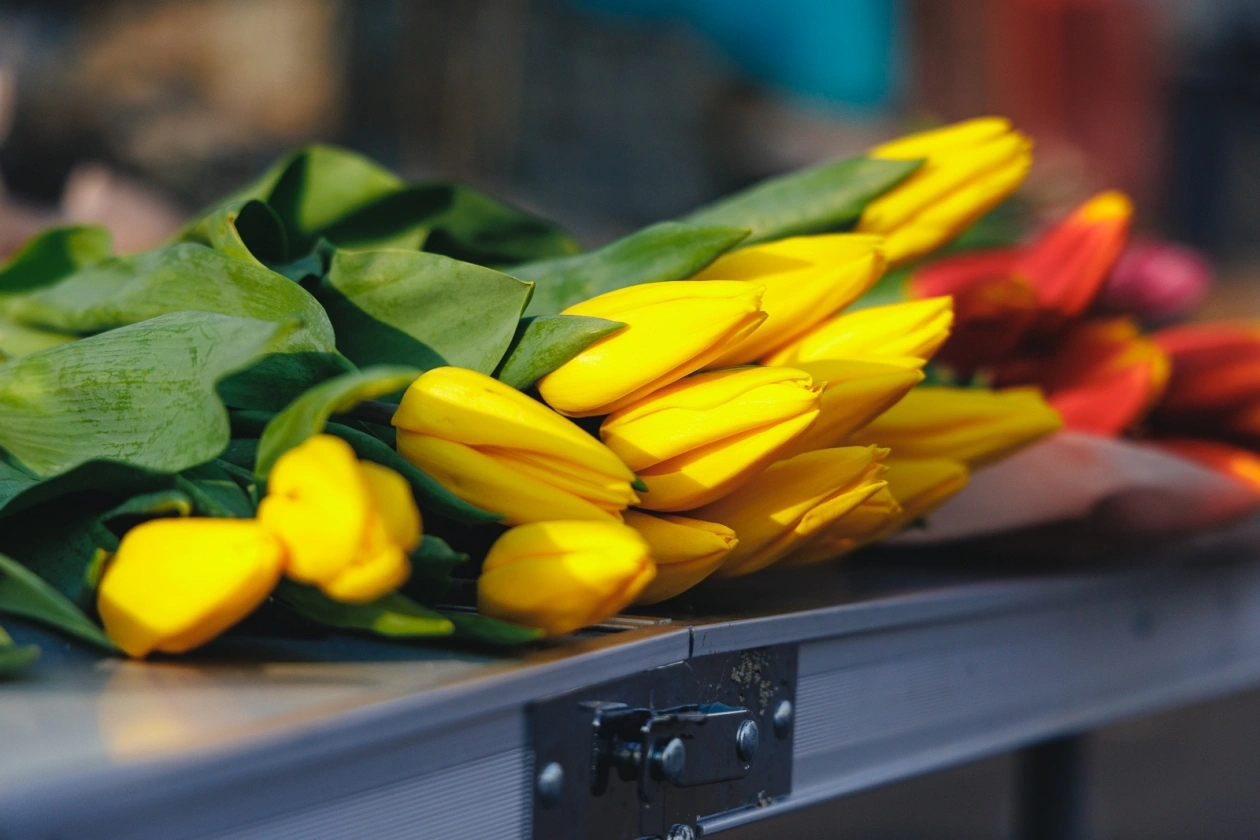 Тематическое фото ИА PrimaMedia