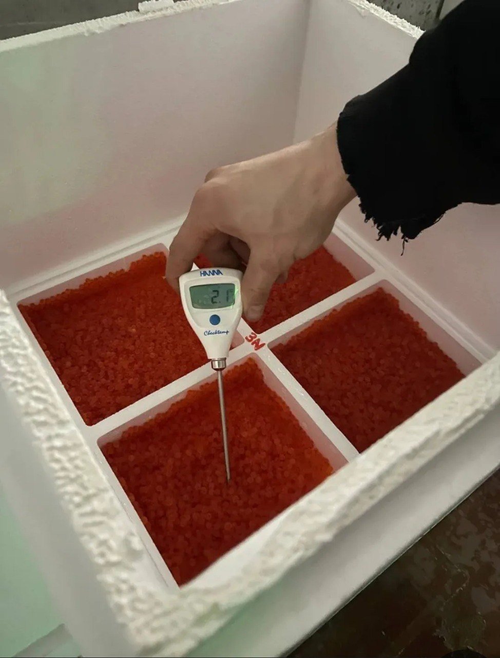 35 тысяч эмбрионов радужной форели прилетели в Хабаровск из Франции Приморское межрегиональное управление Россельхознадзора