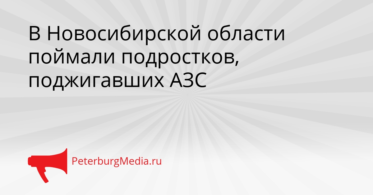 В Новосибирской области поймали подростков, поджигавших АЗС Сгенерировано