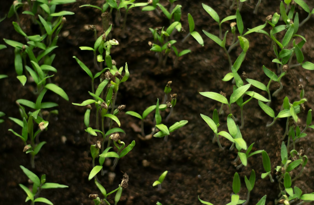 Тематическое фото Unsplash.com (18+)