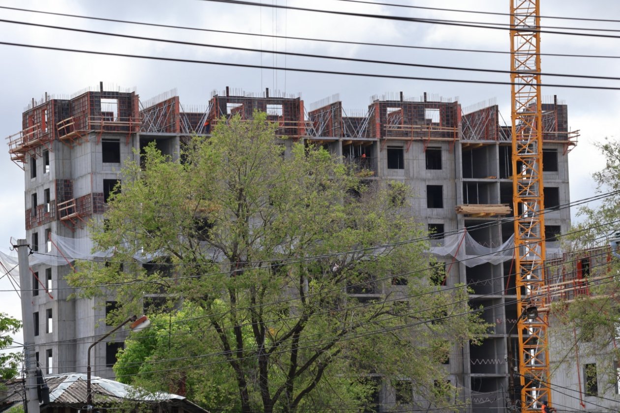 Тематическое фото Александр Шепырев, ИА UssurMedia