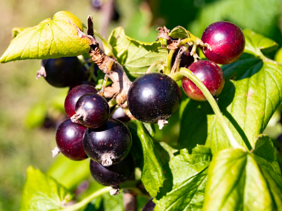 Тематическое фото Unsplash.com (18+)