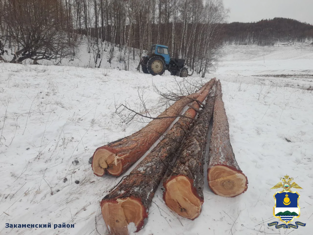 Незаконная рубка леса выявлена в двух районах Бурятии МВД по Бурятии
