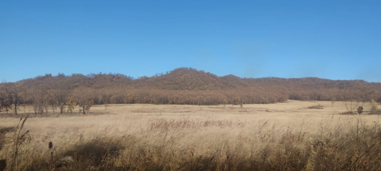 В Сочи участникам СВО передали более 170 земельных участков Марина  Померанцева