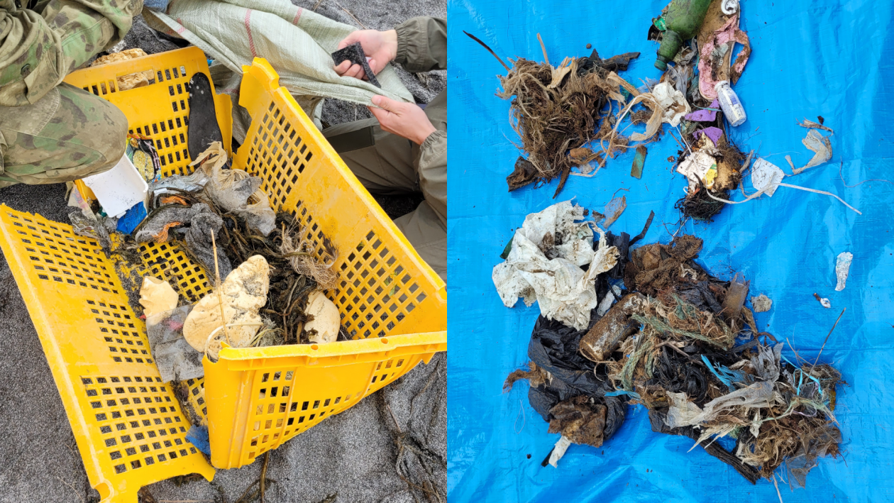 пресс-служба Кроноцкого заповедника