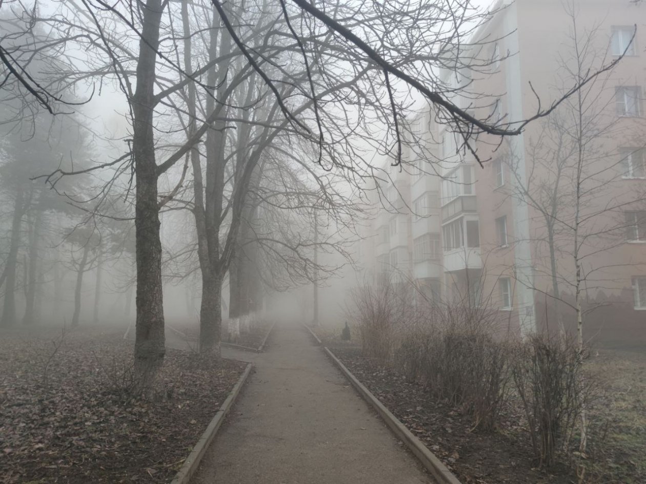 Как по календарю: какой погодой завершится зима и начнётся весна на Ставрополье ИА Stavropol.Media