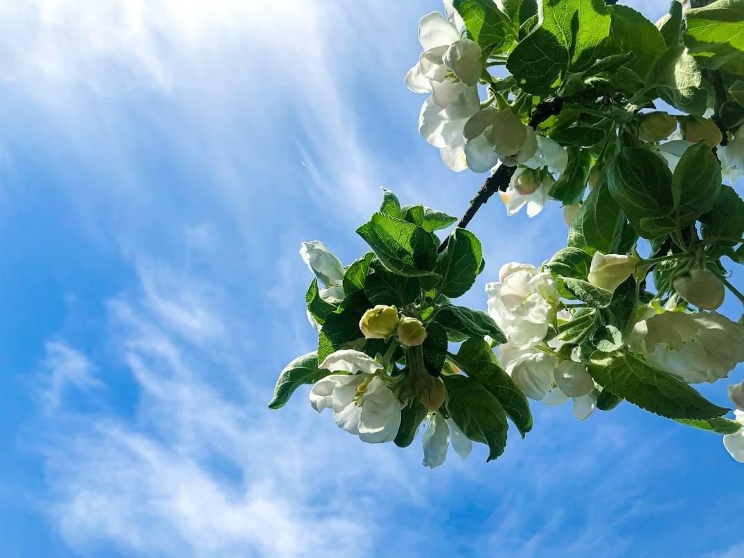 Тематическое фото unsplash.com