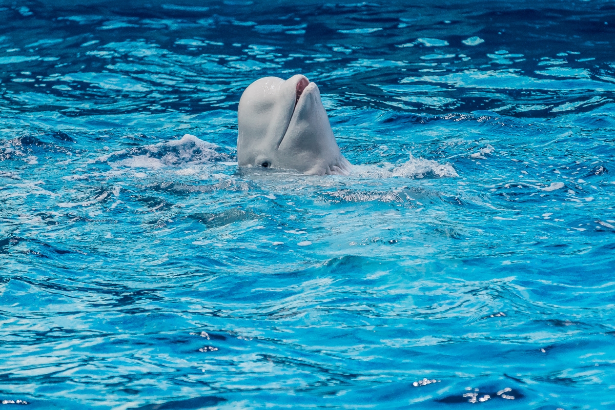 Тематическое фото ИА PrimaMedia