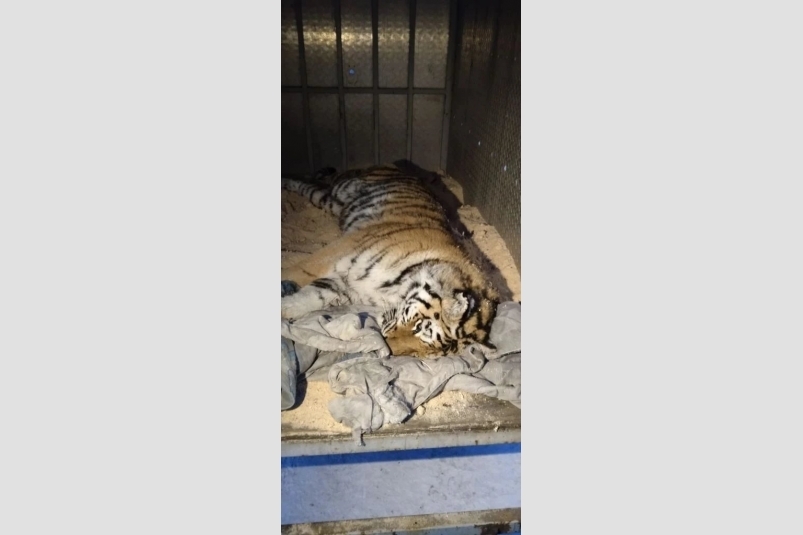 Тематическое фото Правительство ЕАО