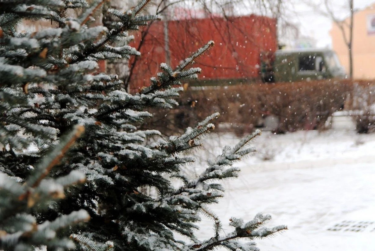 Будет холодно Ольга Долгополова, ИА UssurMedia