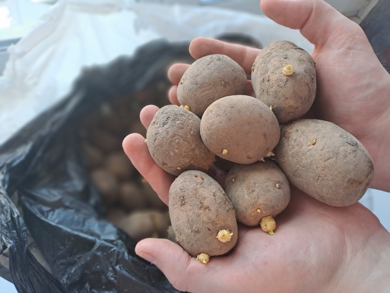 Тематическое фото ИА UssurMedia