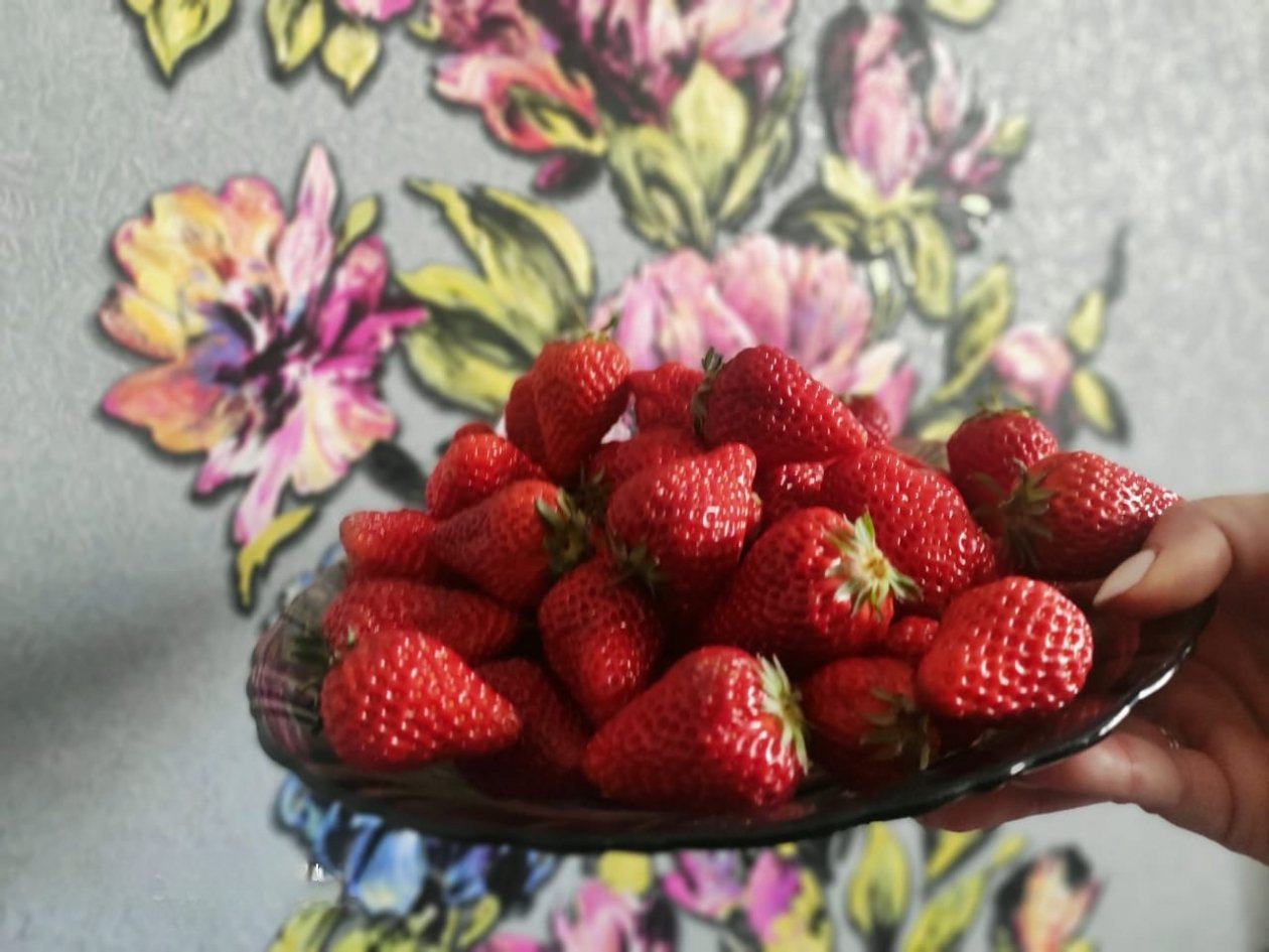 Клубника с огорода ИА UssurMedia