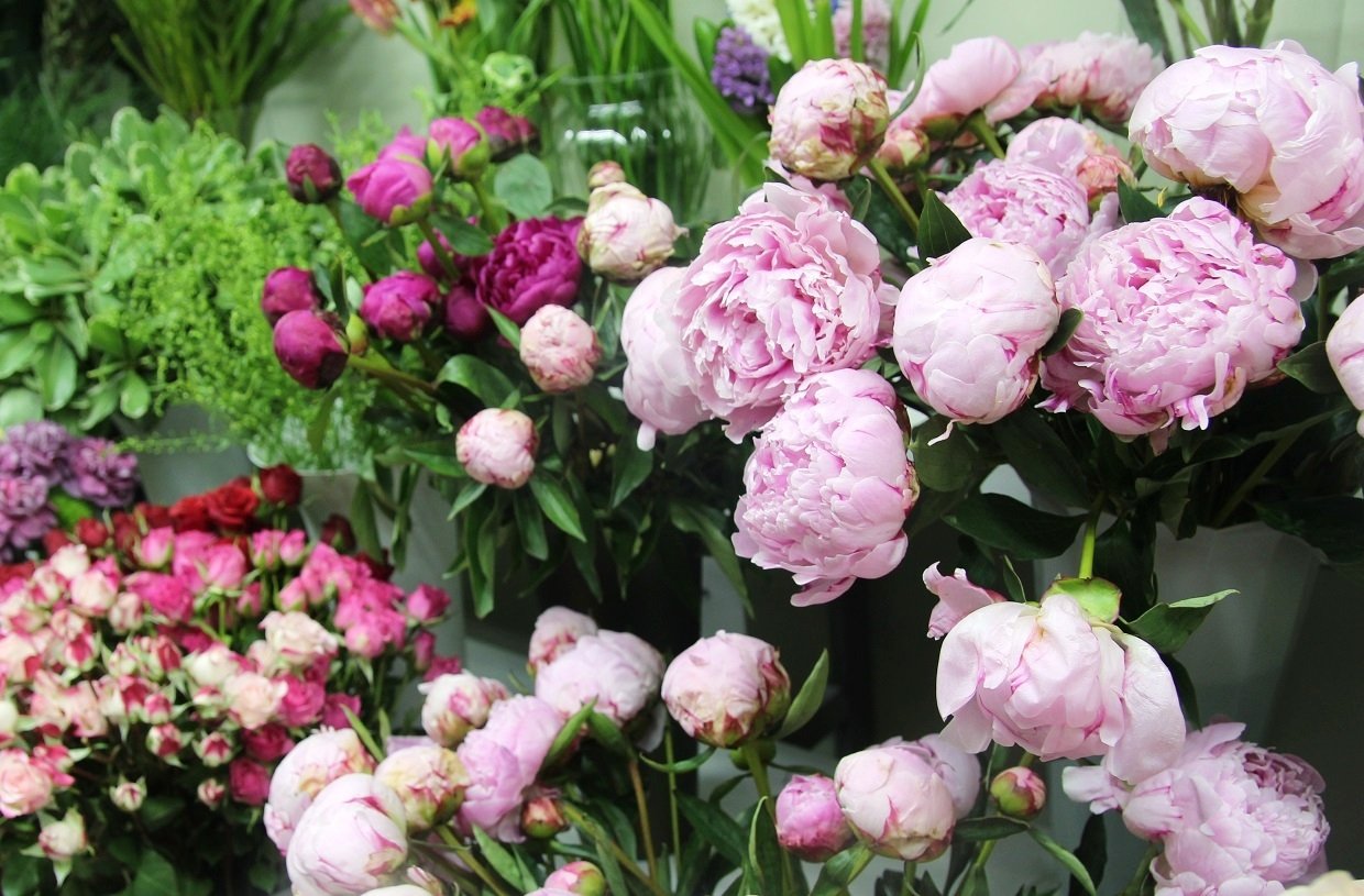 Тематическое фото Ольга Долгополова, ИА UssurMedia