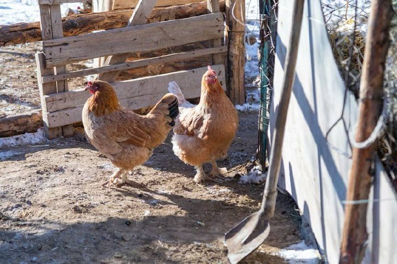 Тематическое фото unsplash.com