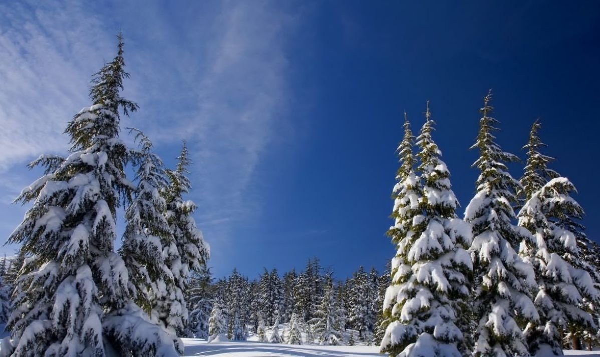 Тематическое фото pxhere.com