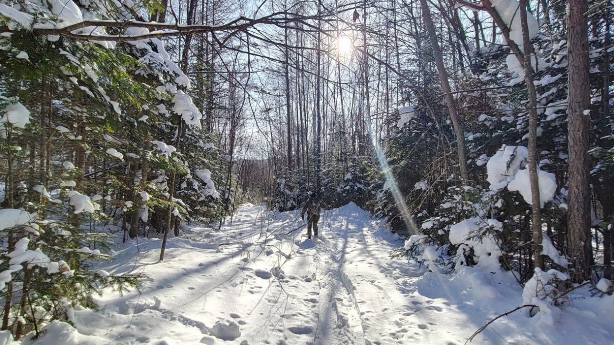 Комсомольский заповедник