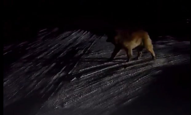 В Бурятии жители ДНТ просят вернуть освещение на дорогах ОНФ Бурятии