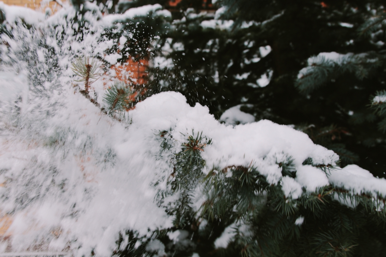 Пасмурной и холодной будет наступающая неделя в Якутске Владислав Беляцкий, ИА SakhalinMedia