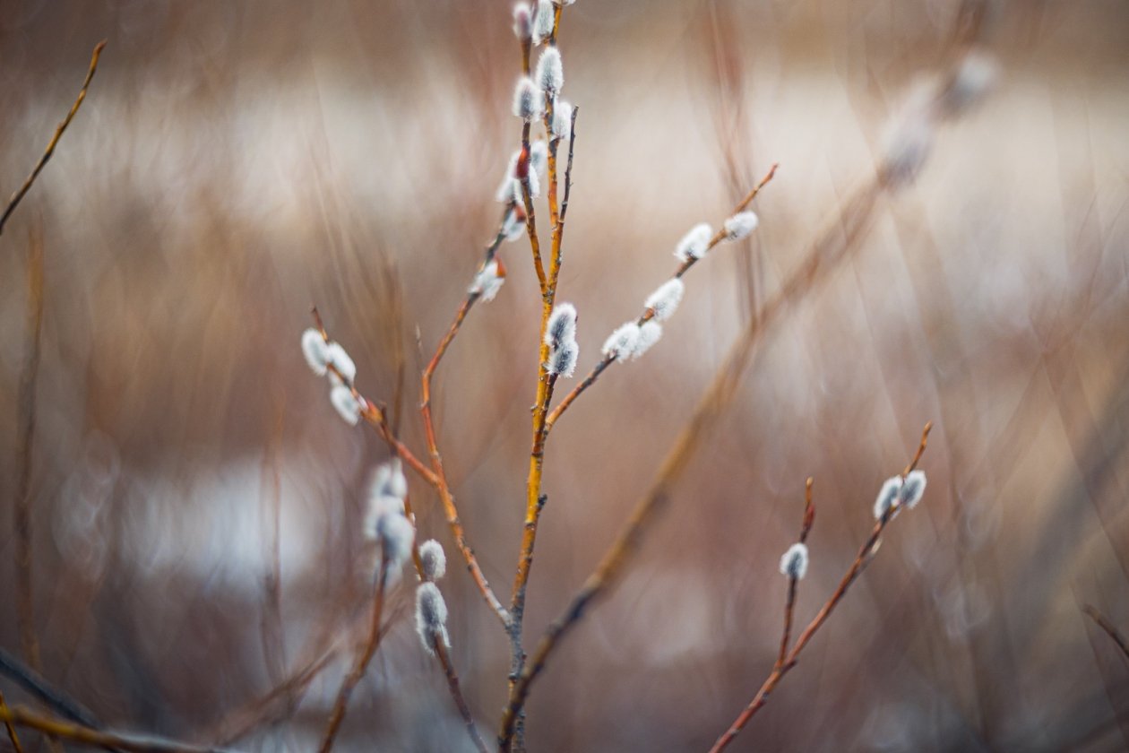 Тематическое фото ИА PrimaMedia