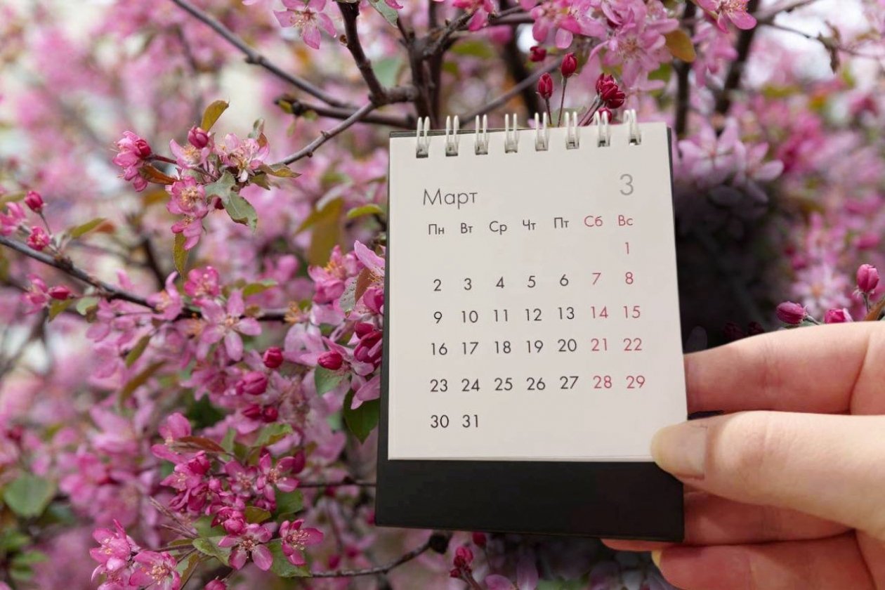 Без сокращения: объявлено, как будем отдыхать в марте 2026 года ИА Stavropol.Media