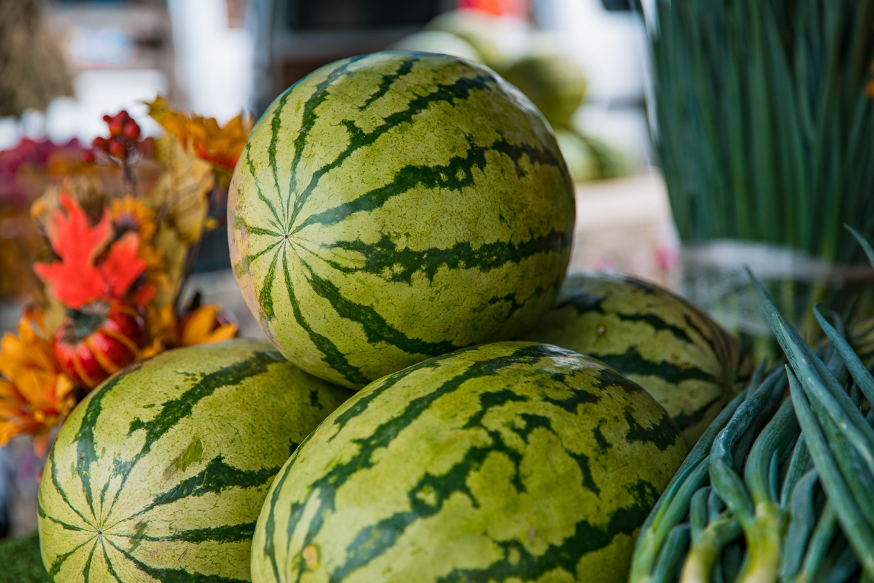 Арбуз Илья Аверьянов, ИА PrimaMedia