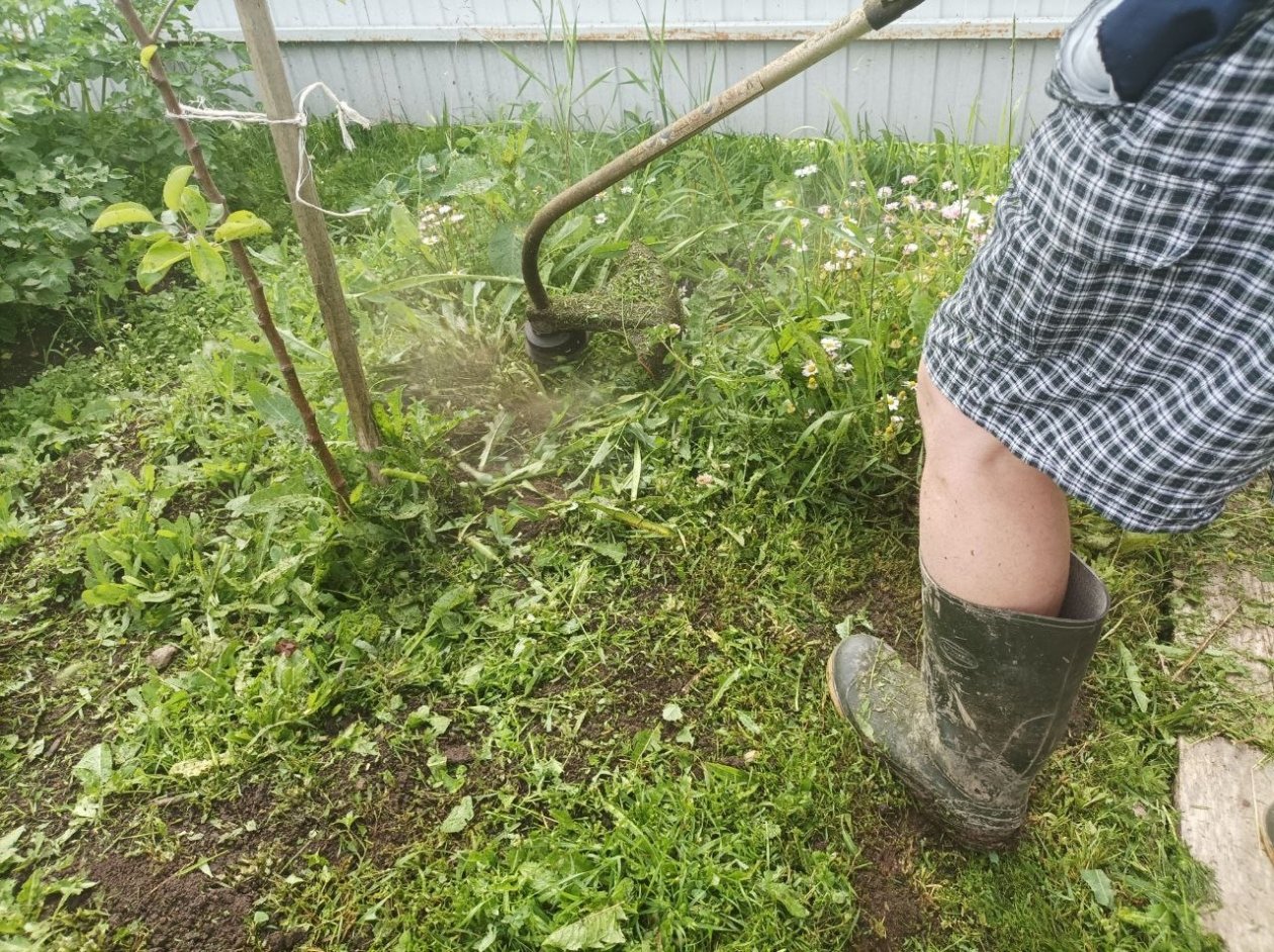 Тематическое фото Фото автора